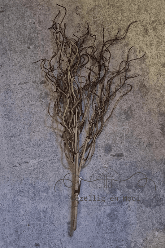 Brynxz twig bugs - Gezellig en Mooi