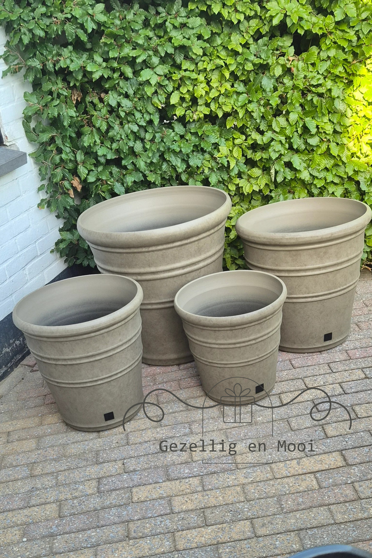 Cacta green/red - Gezellig en Mooi