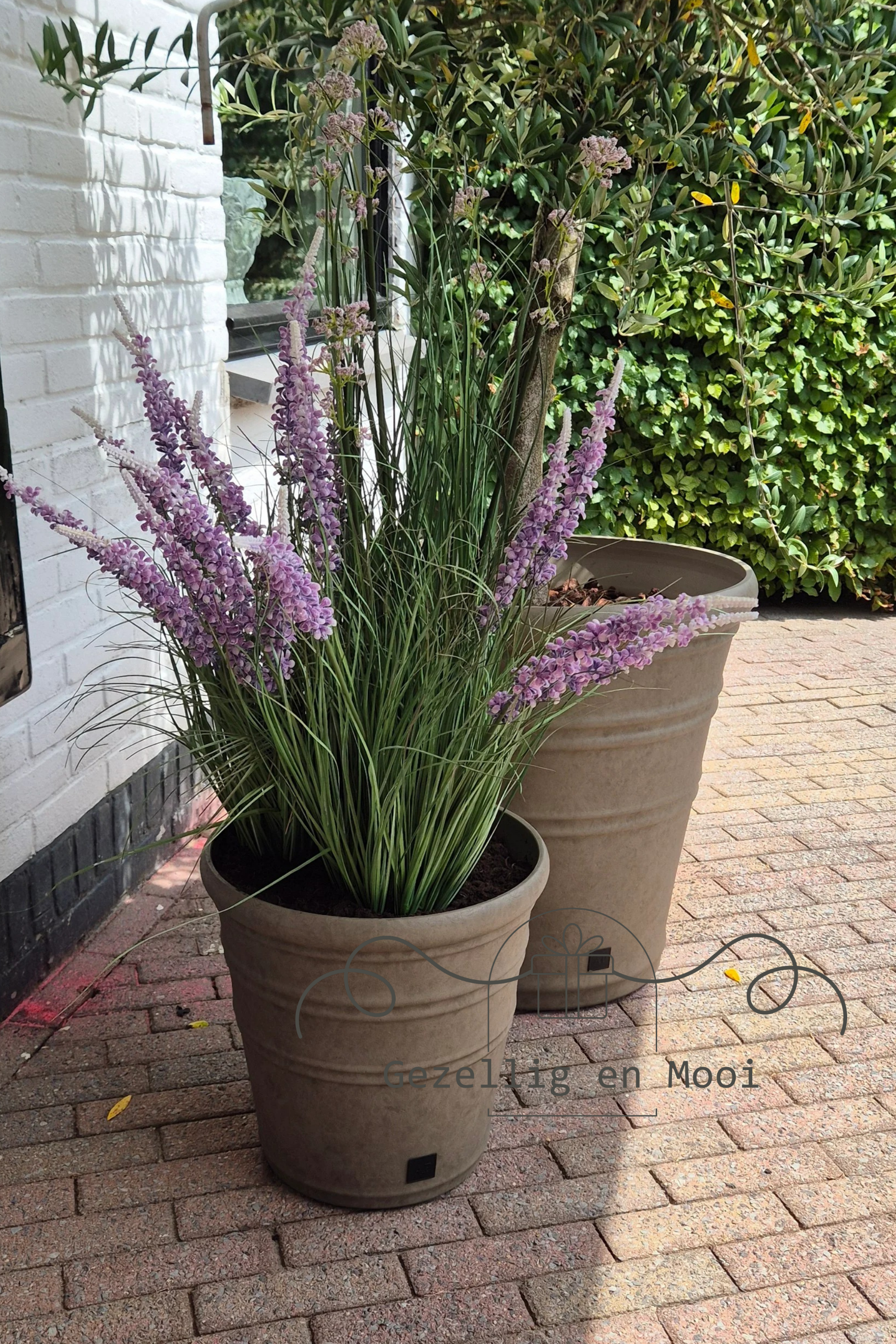 Cacta green/red - Gezellig en Mooi