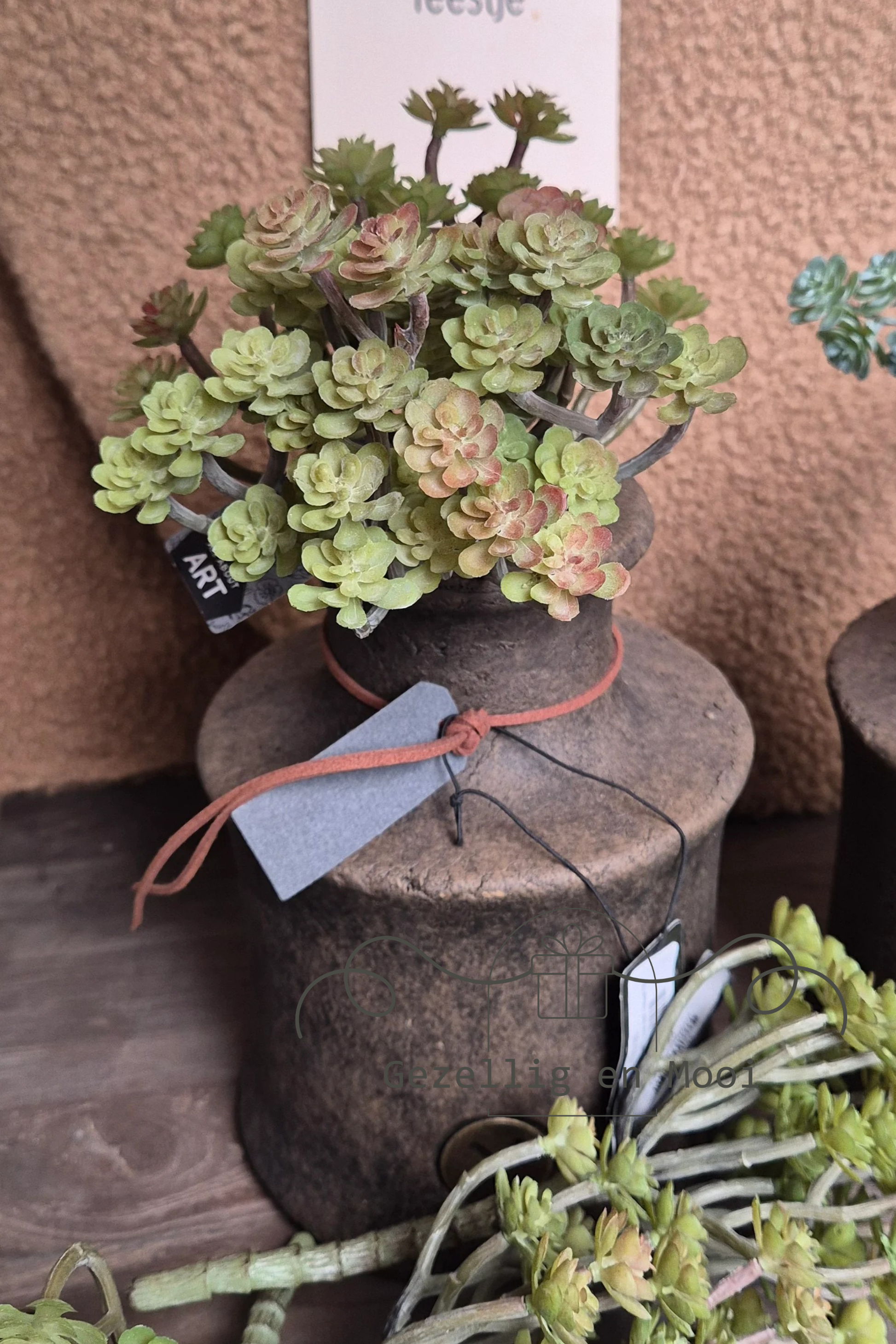 Cacta green/red - Gezellig en Mooi