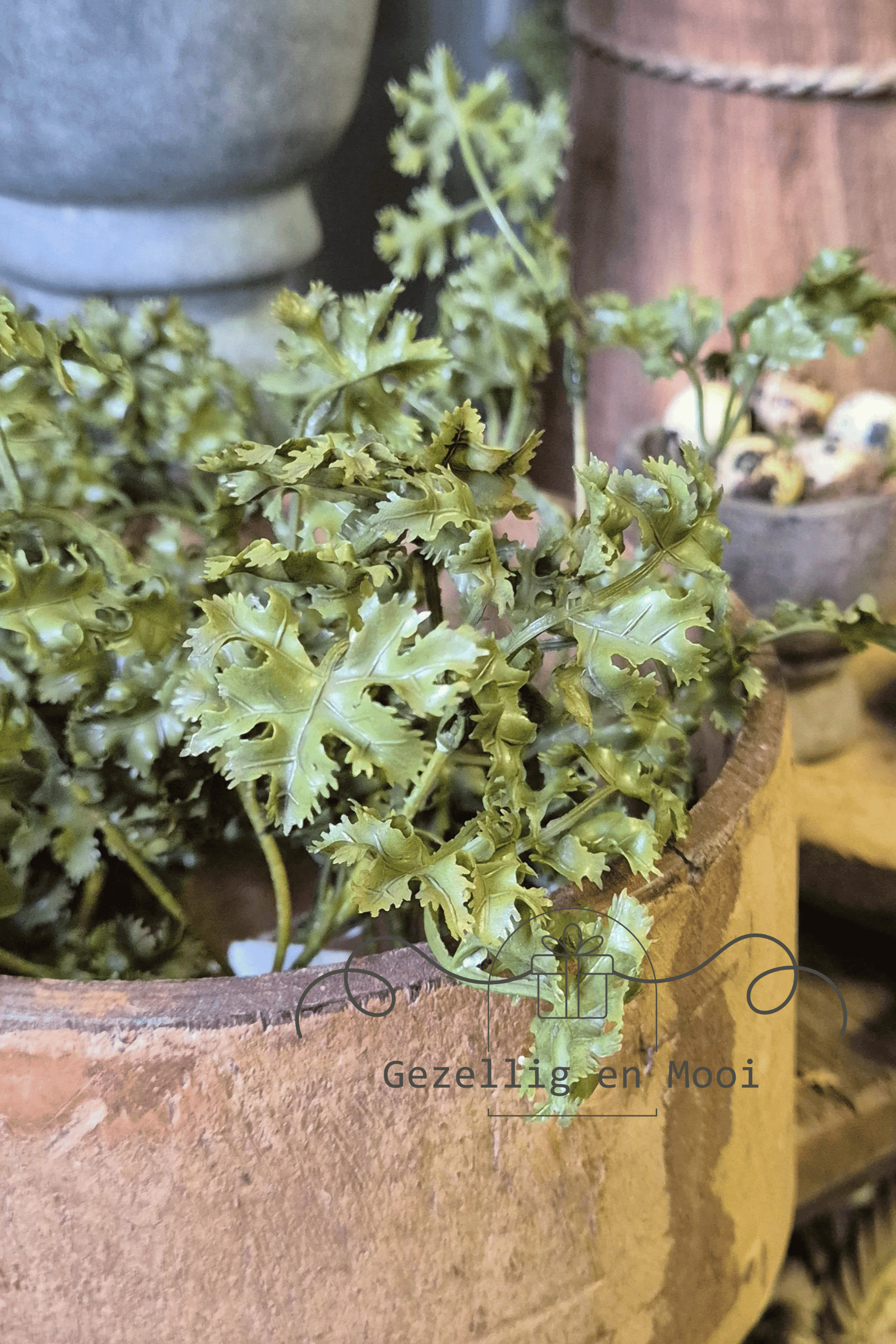 Farmers green - Gezellig en Mooi