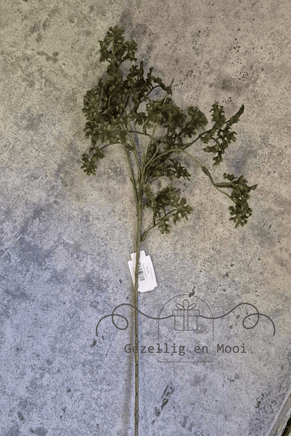 Farmers green - Gezellig en Mooi