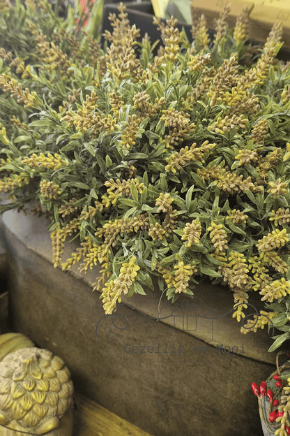 Lavendel bosje grijs - Gezellig en Mooi