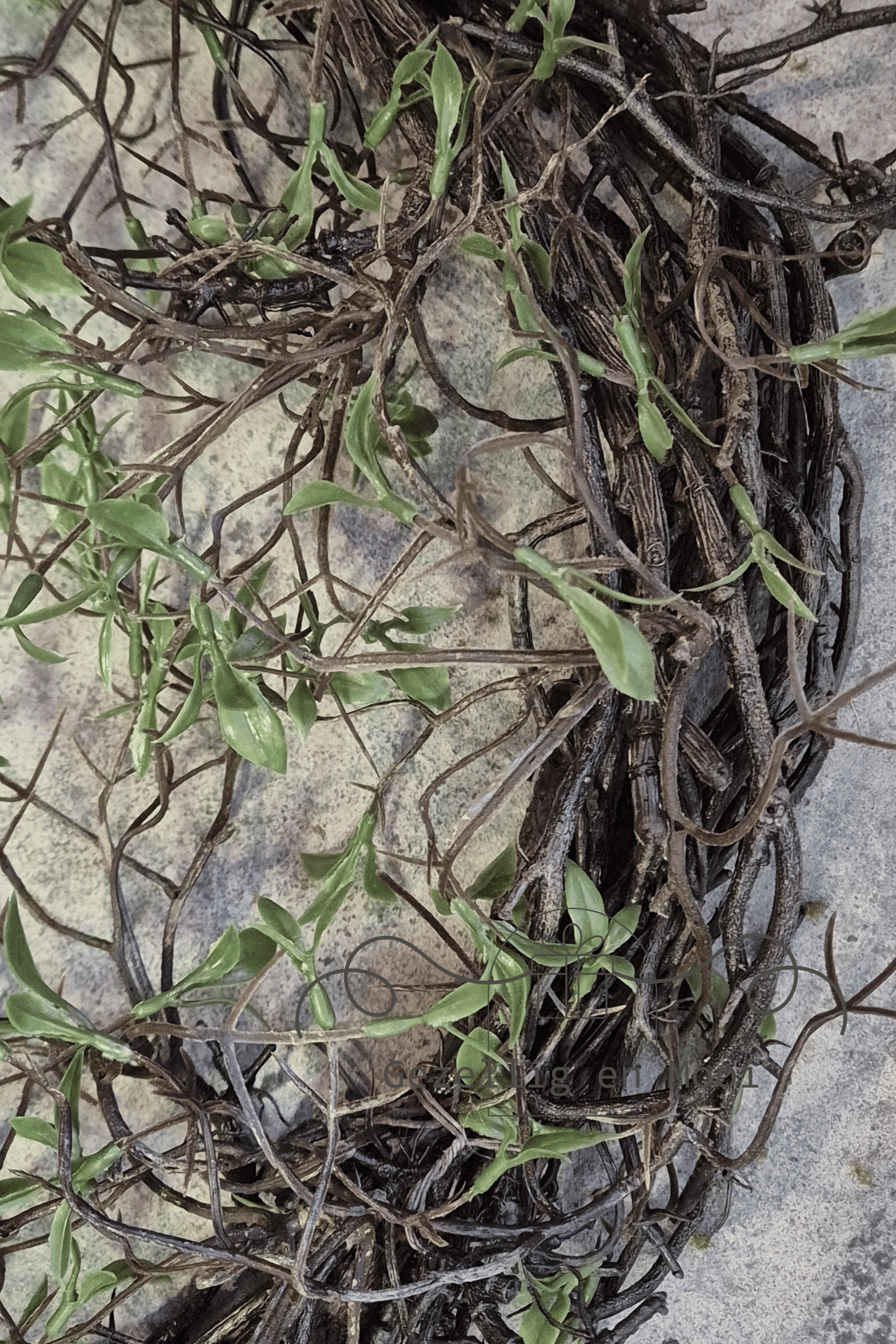 Salix krans kunst - Gezellig en Mooi