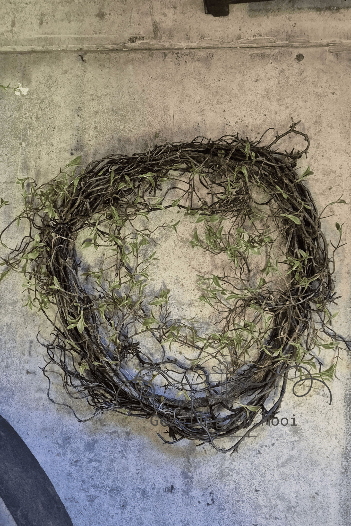 Salix krans kunst - Gezellig en Mooi
