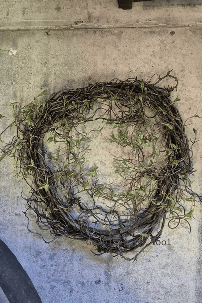 Salix krans kunst - Gezellig en Mooi