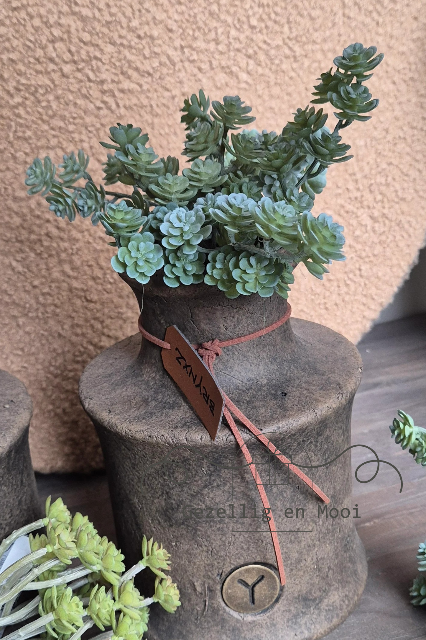 Cacta green/red - Gezellig en Mooi