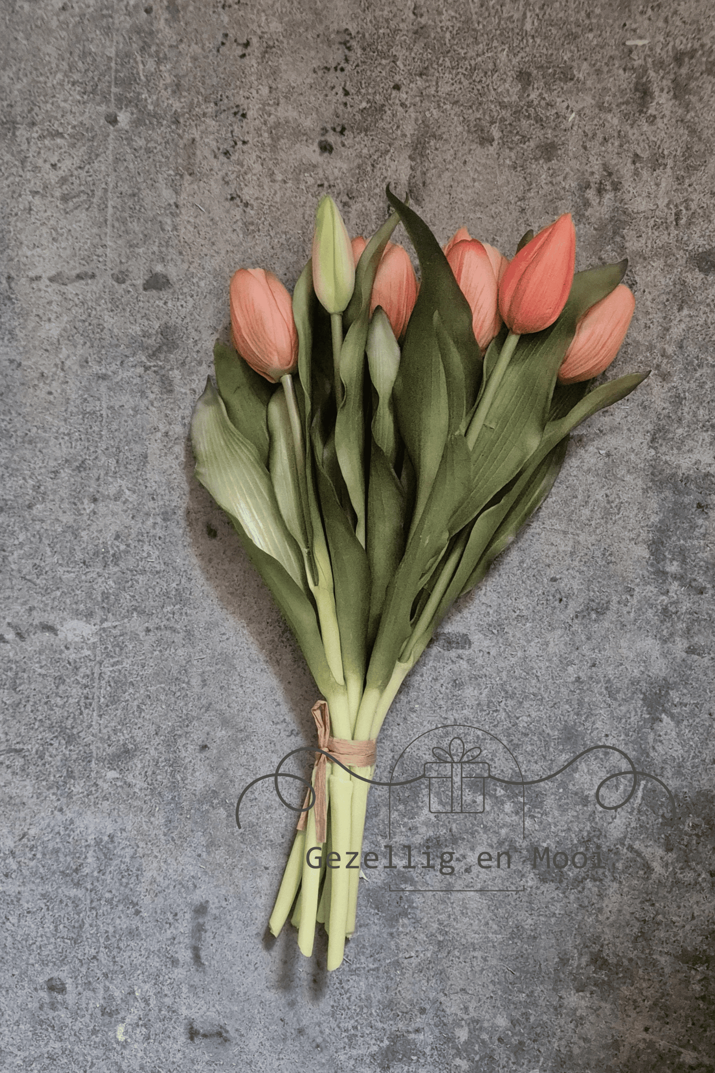 Tulp julia peach
