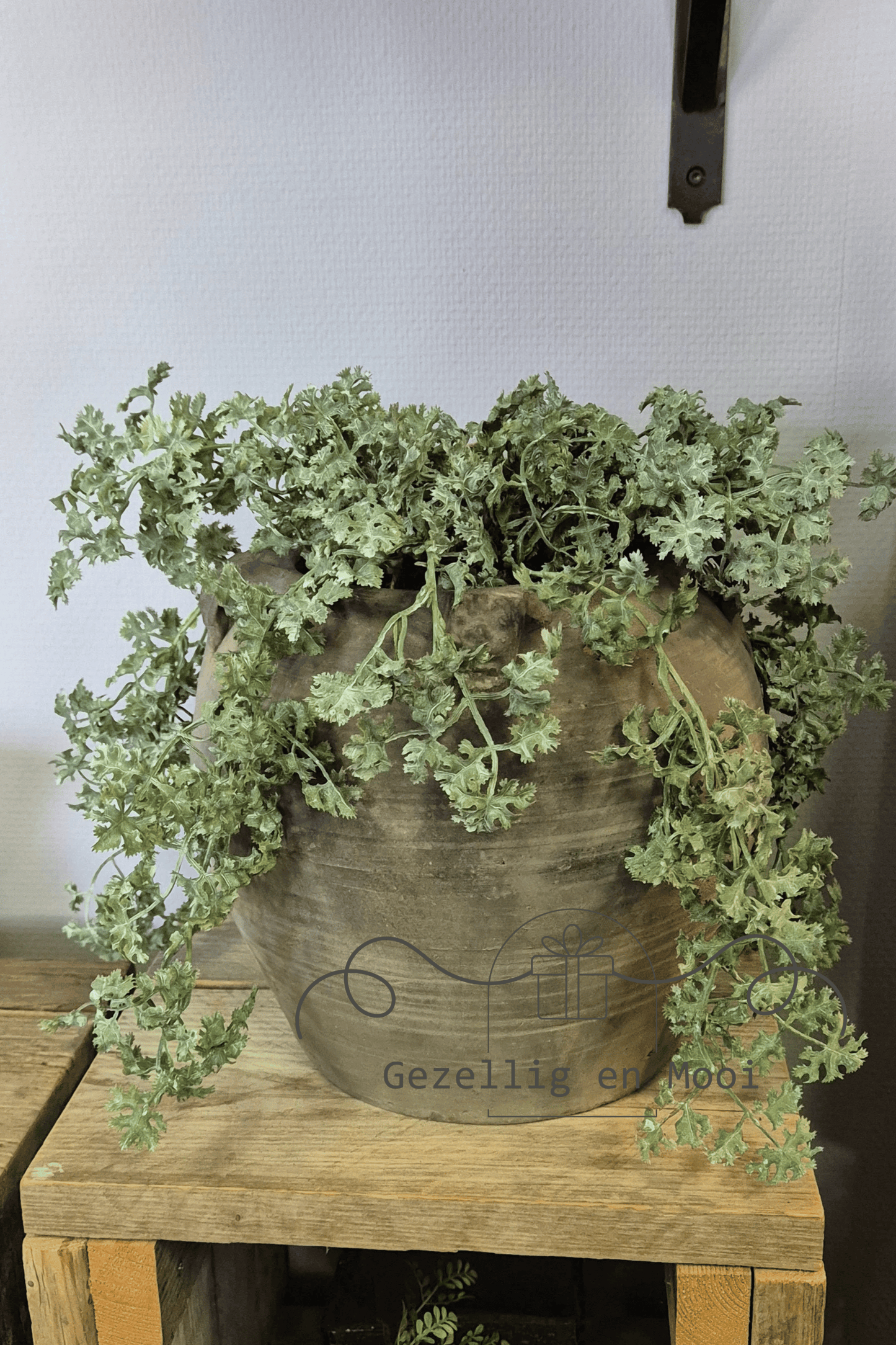 Plant Artemisia groen - Gezellig en Mooi
