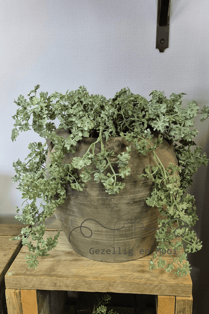 Plant Artemisia groen - Gezellig en Mooi