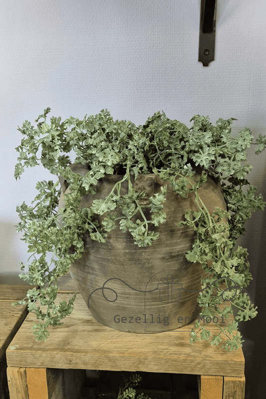 Plant Artemisia groen - Gezellig en Mooi