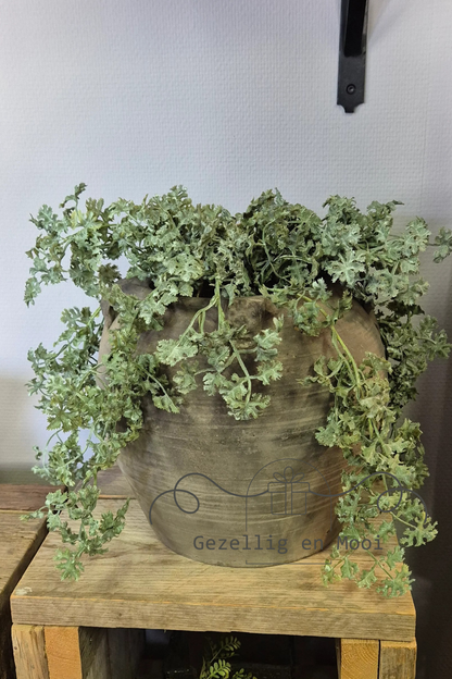 Cacta green/red - Gezellig en Mooi