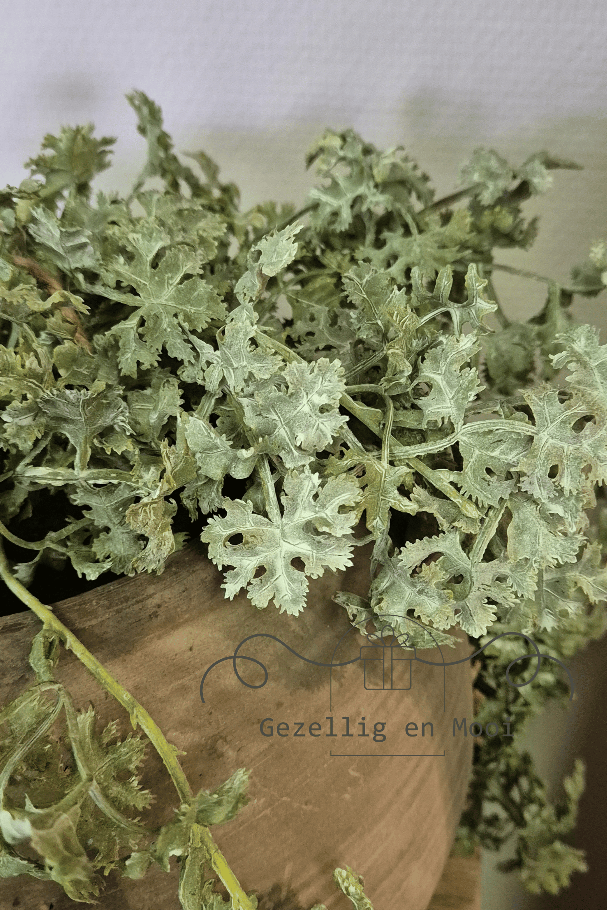 Plant Artemisia groen - Gezellig en Mooi