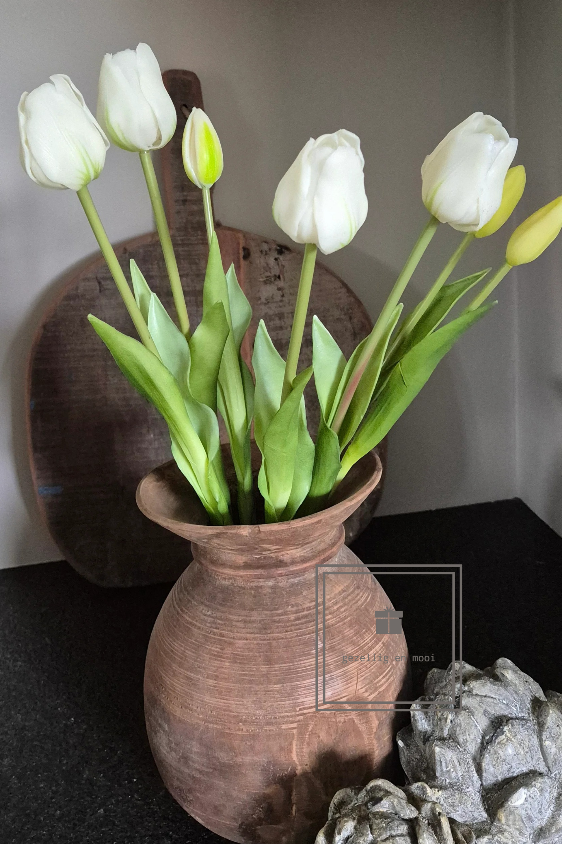 Tulp snowy white