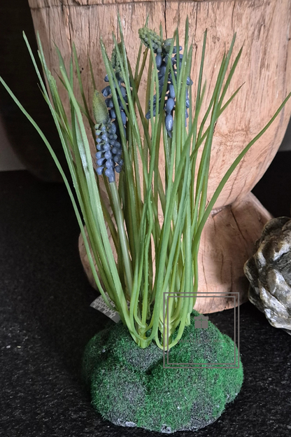Druifjes op mos in wit of blauw