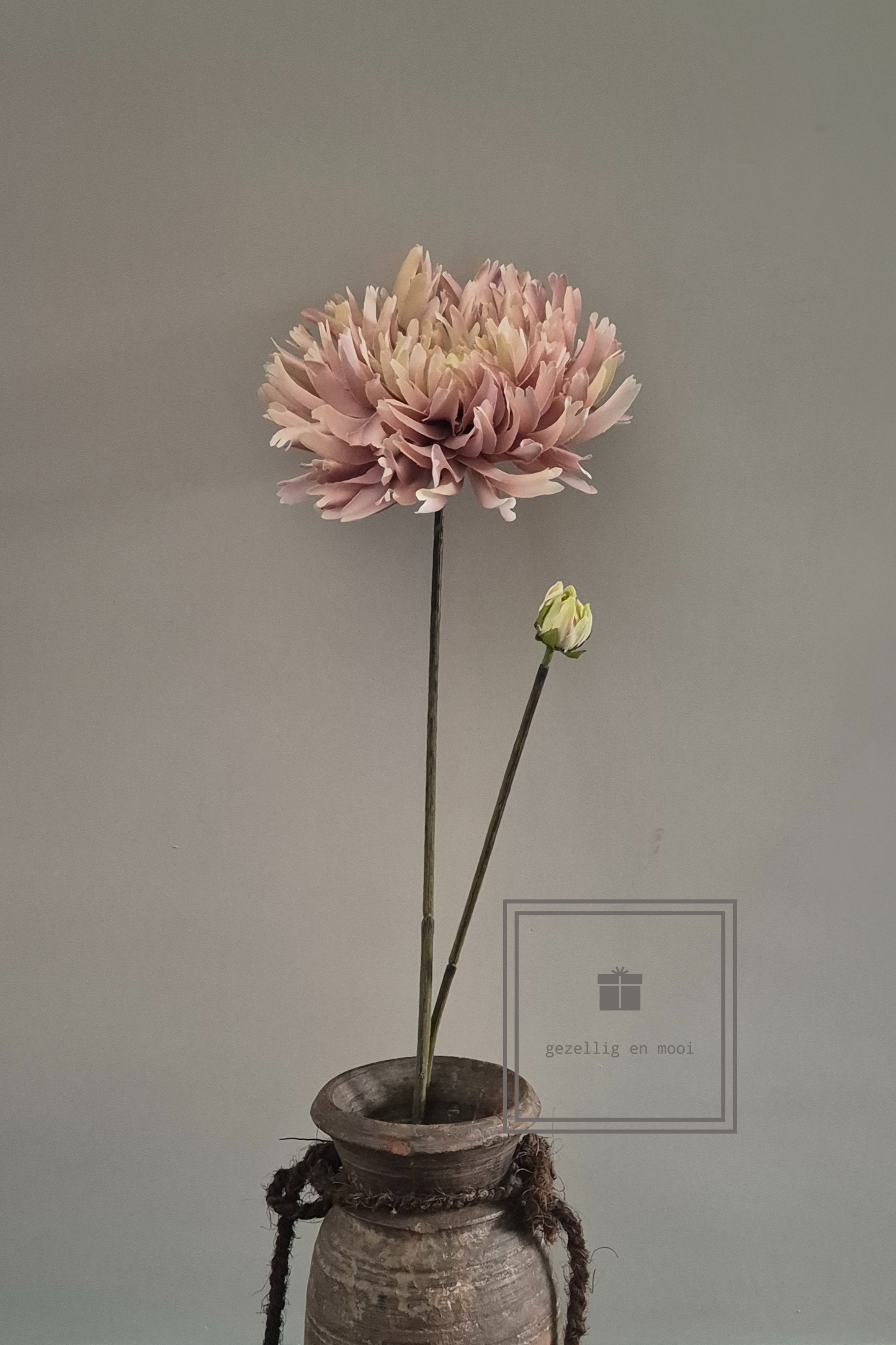Primula tak 85 cm roze