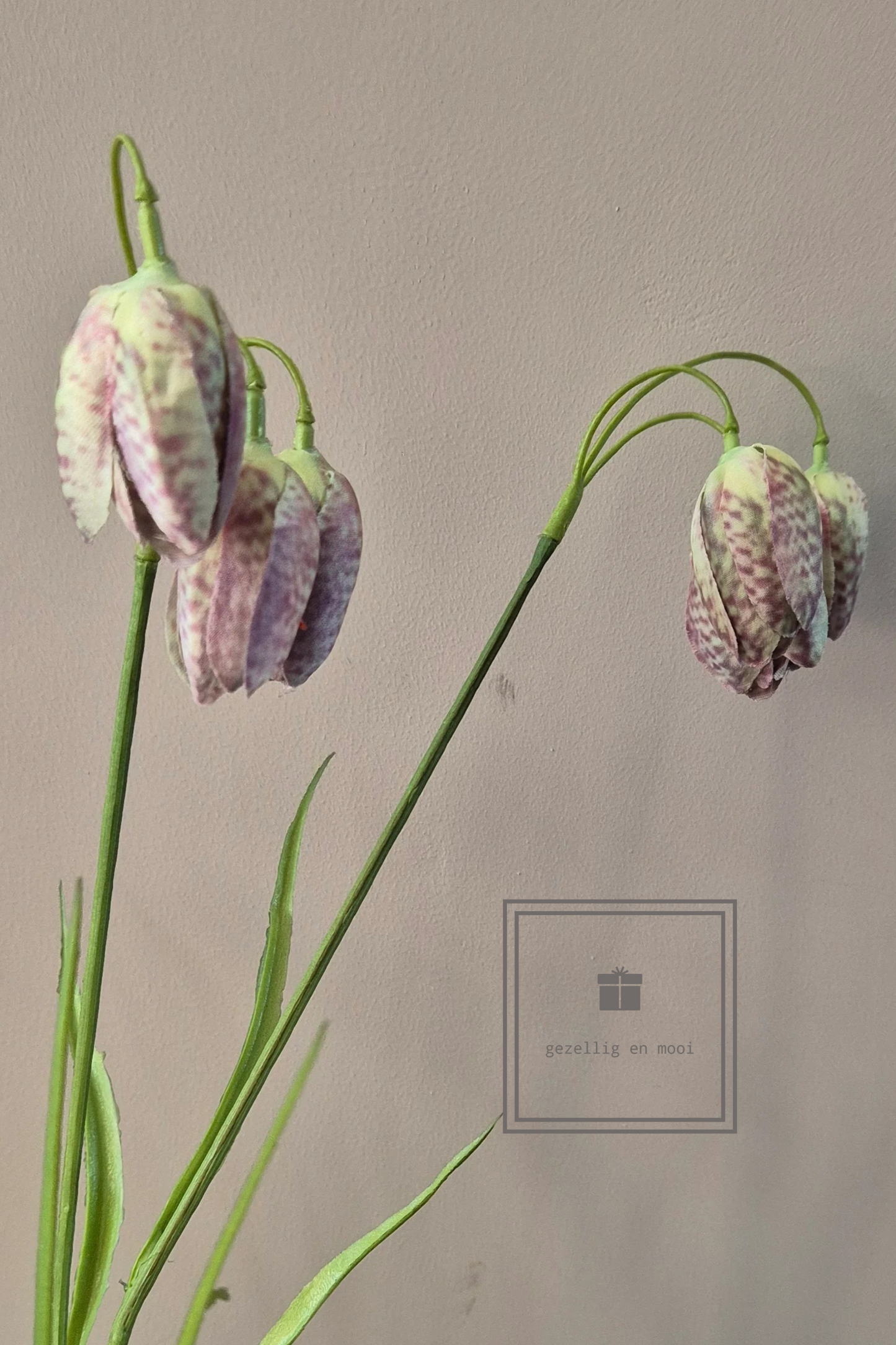Kievitsbloem