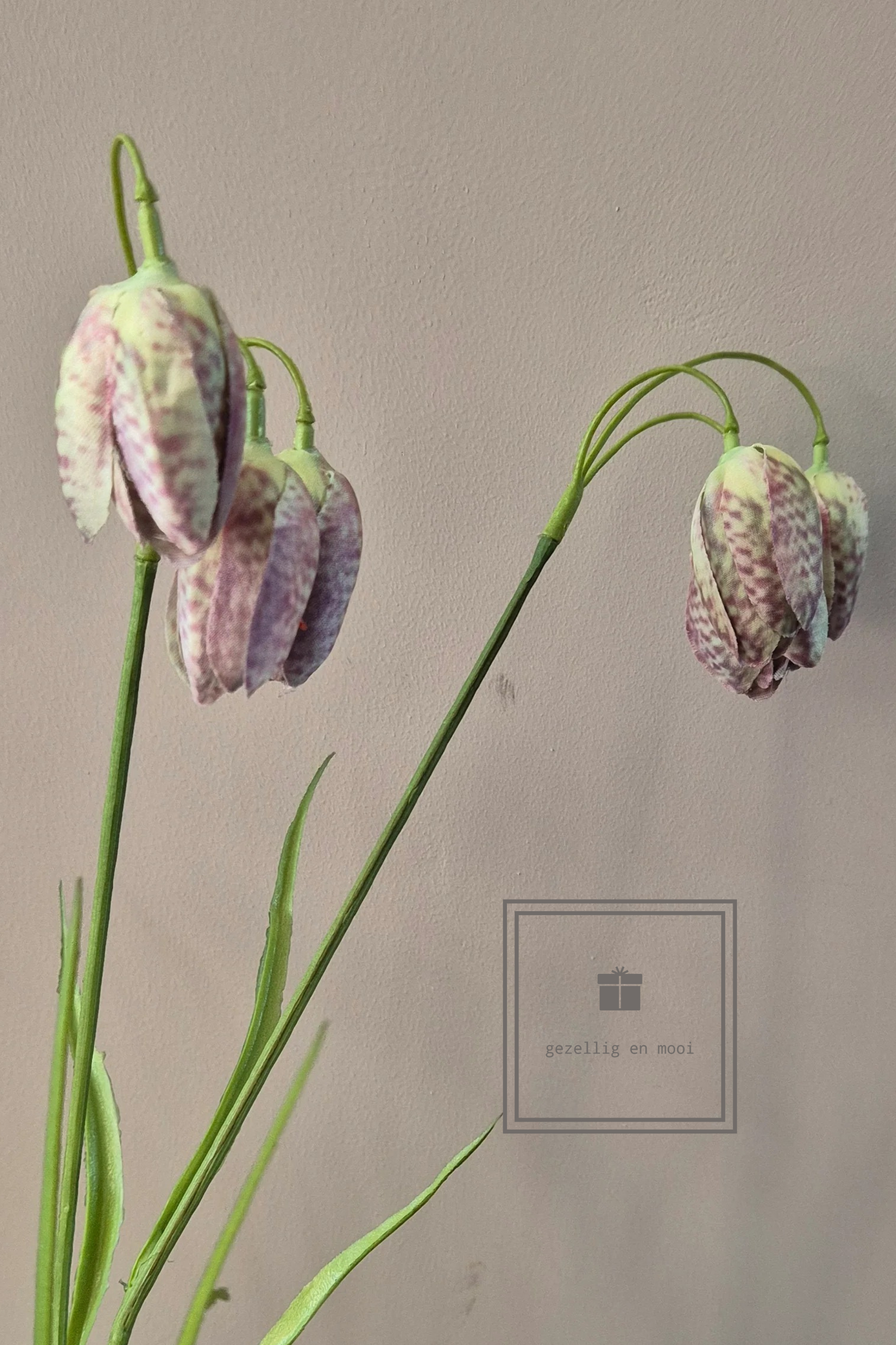 Kievitsbloem