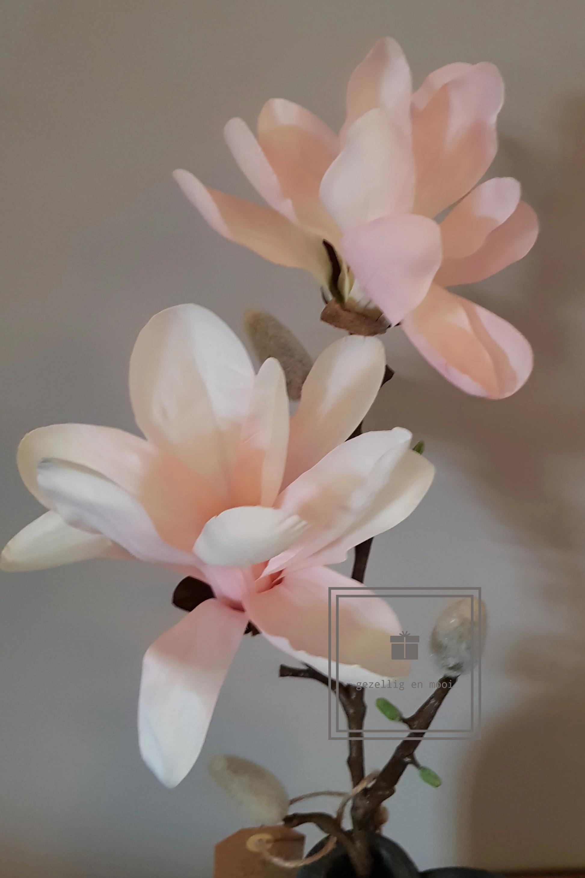 Magnolia kunsttakken wit en roze