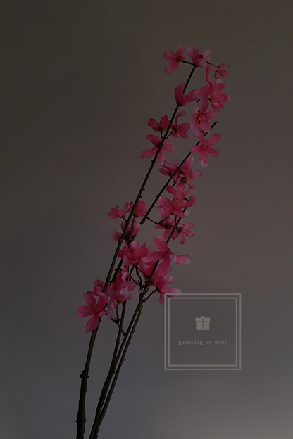 Primula tak 85 cm roze