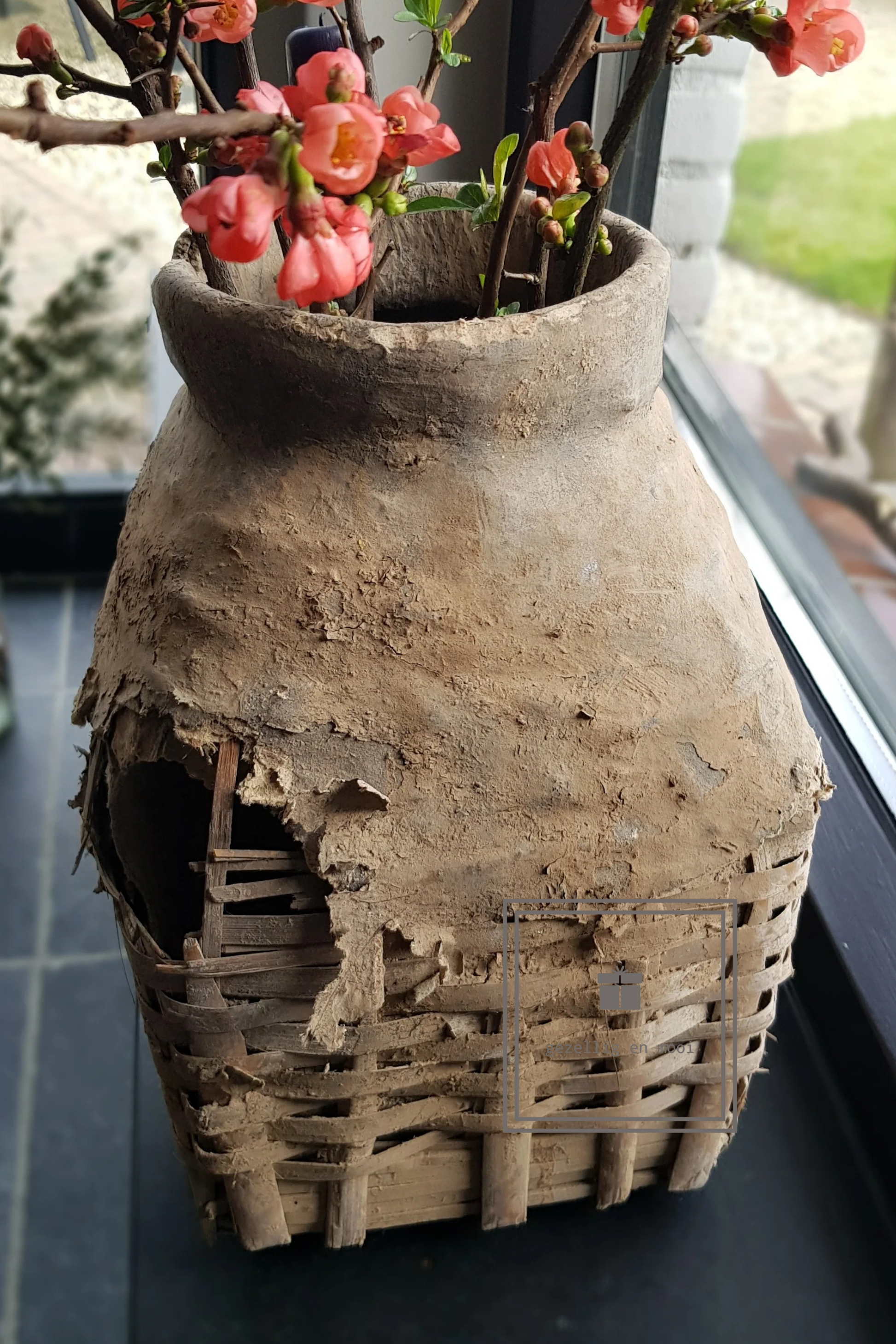 Primula tak 85 cm roze