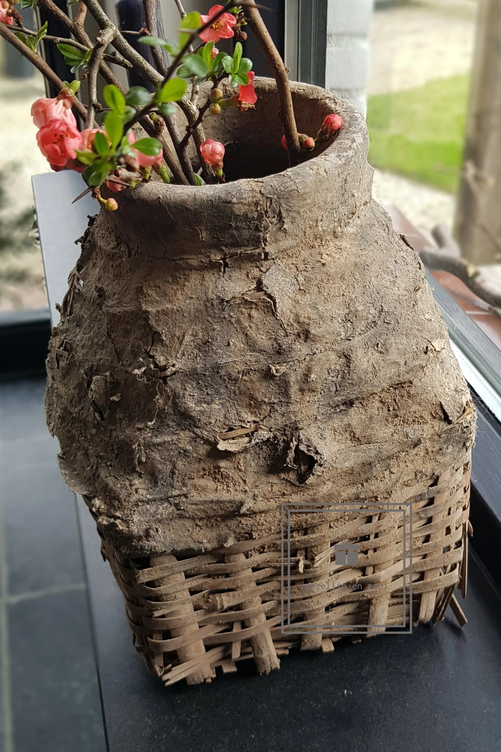 Primula tak 85 cm roze