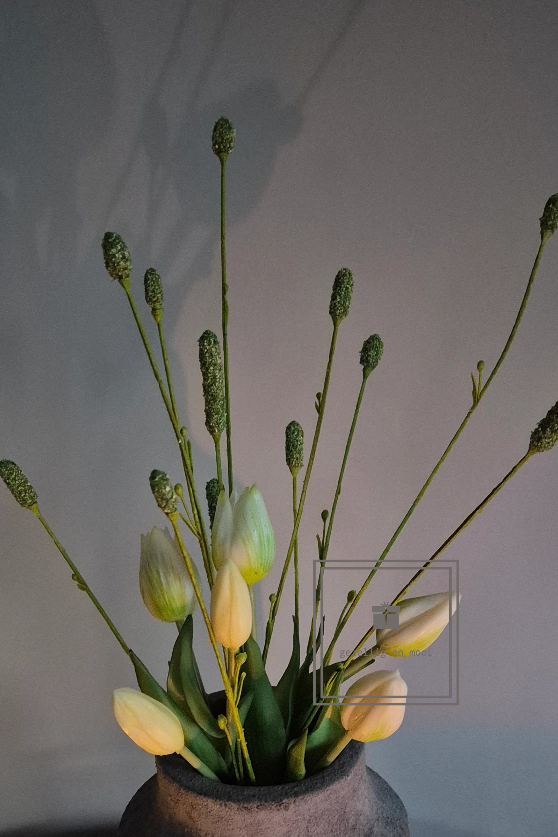 Pimpernel 84 cm groen