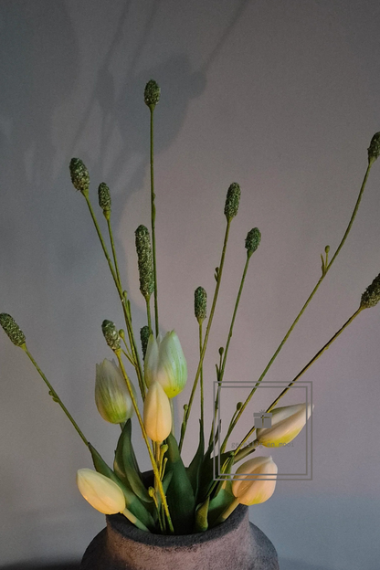 Pimpernel 84 cm groen