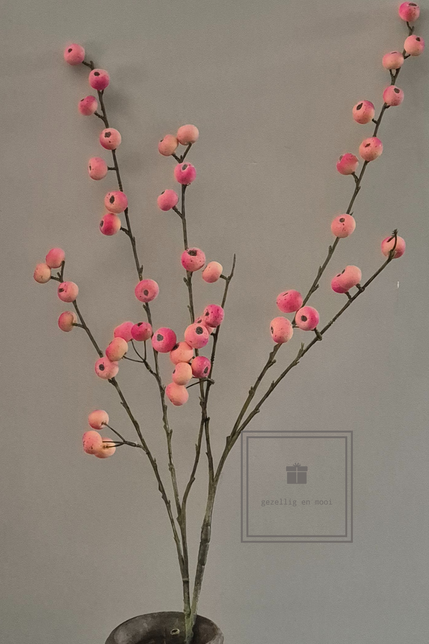 Primula tak 85 cm roze