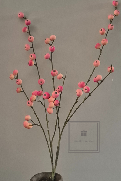 Primula tak 85 cm roze