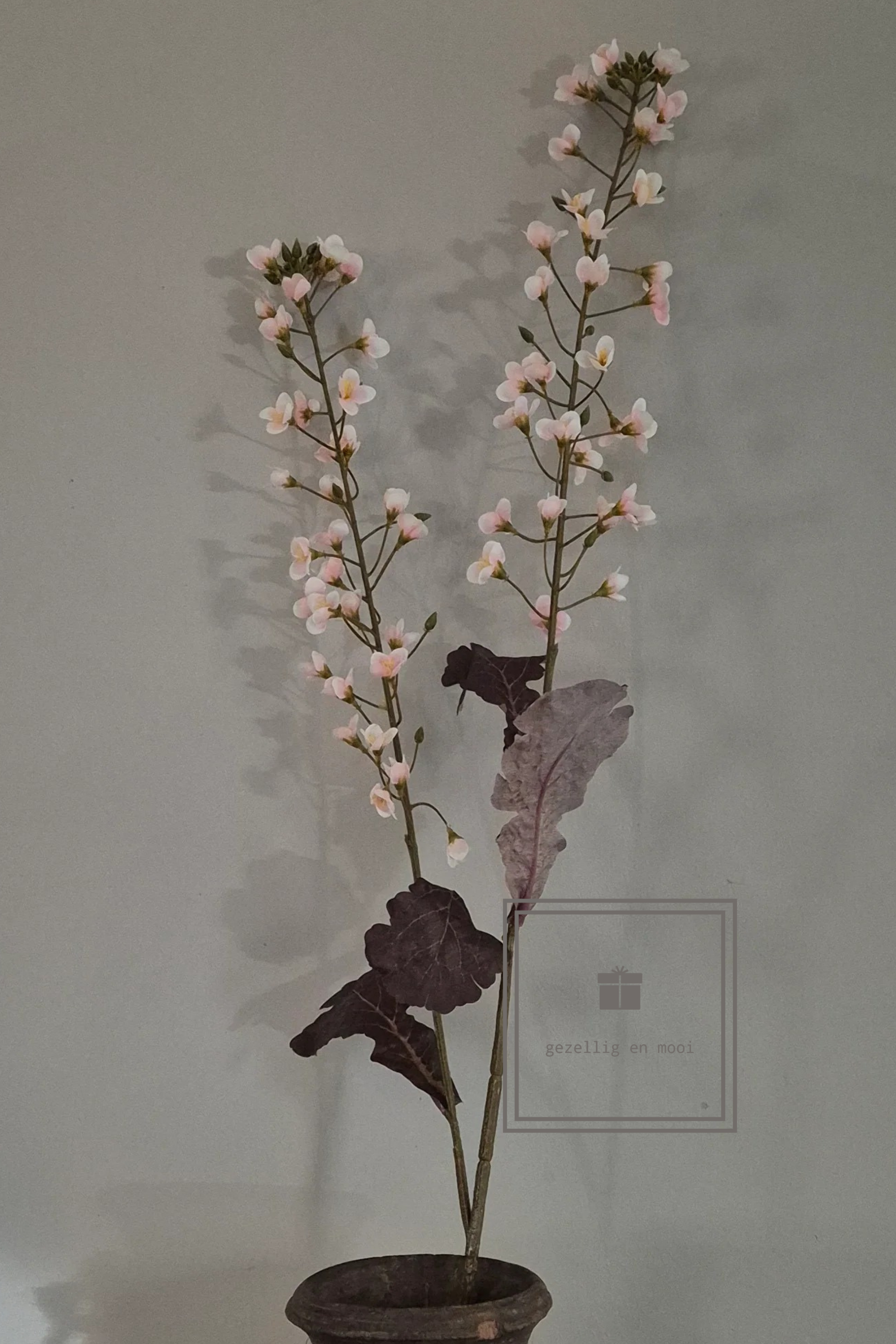 Primula tak 85 cm roze