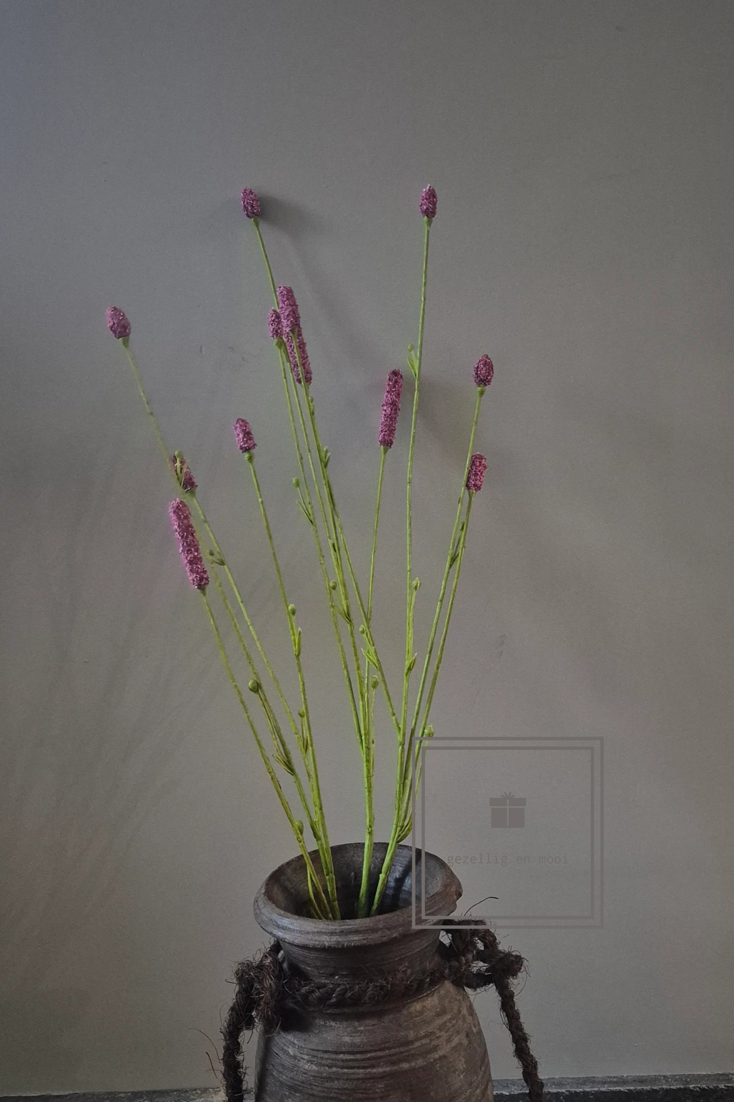 Pimpernel 84 cm rood
