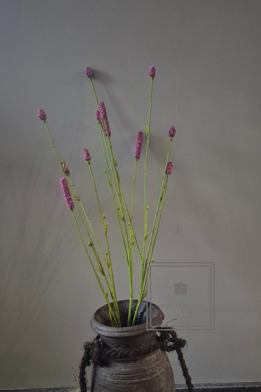 Pimpernel 84 cm rood