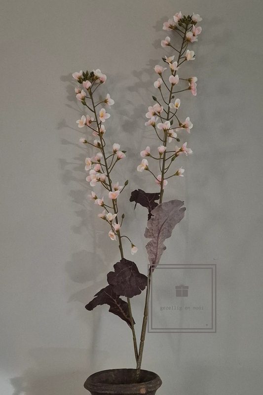 Primula tak 85 cm roze