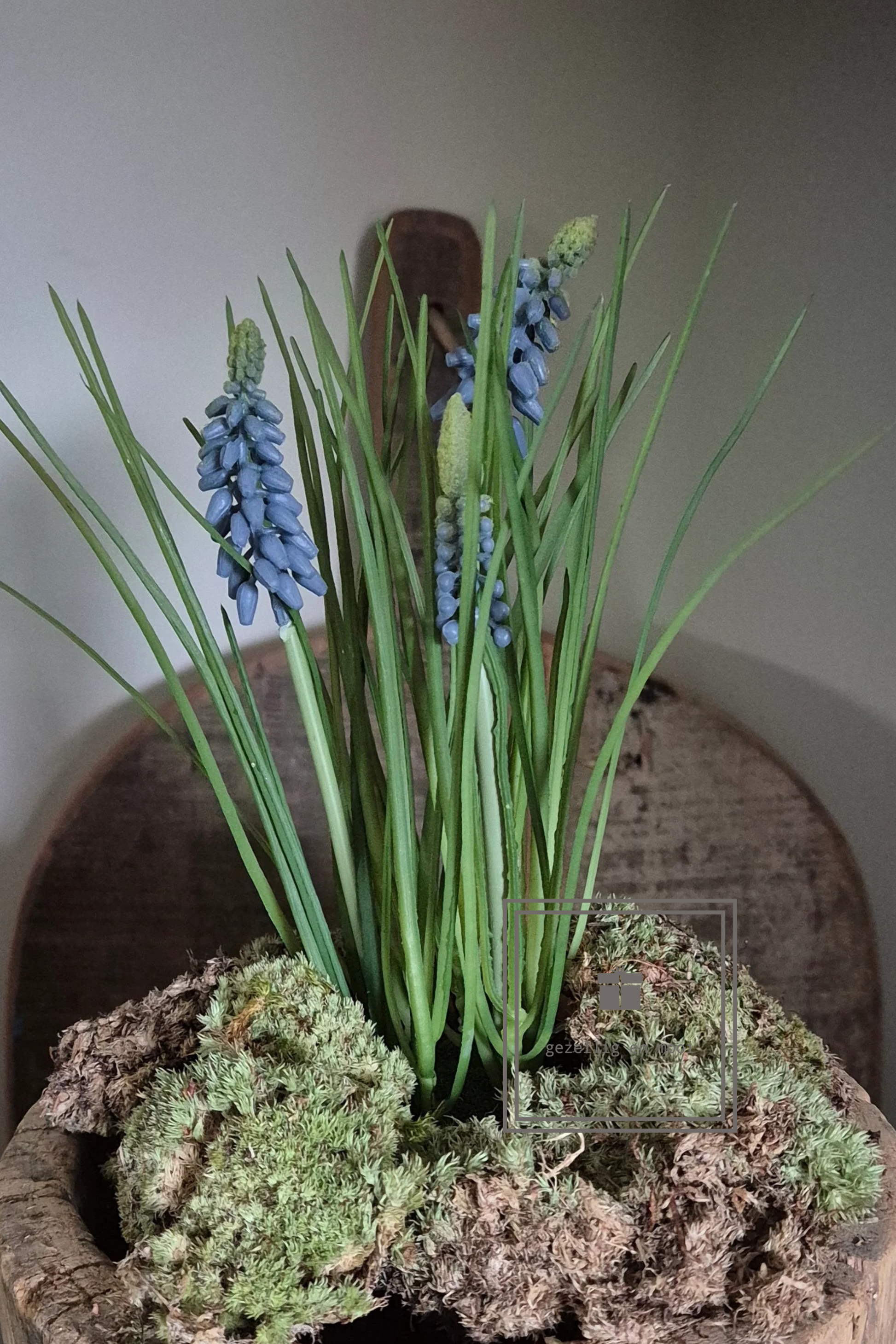 Druifjes op mos in wit of blauw