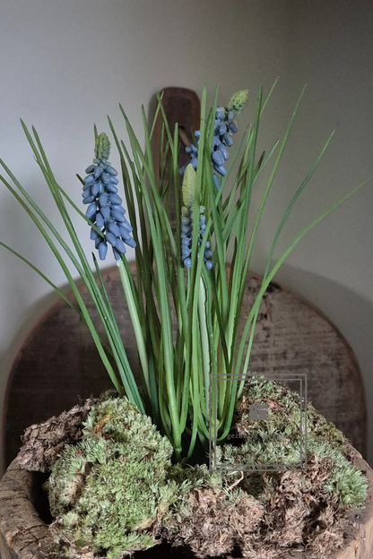 Druifjes op mos in wit of blauw