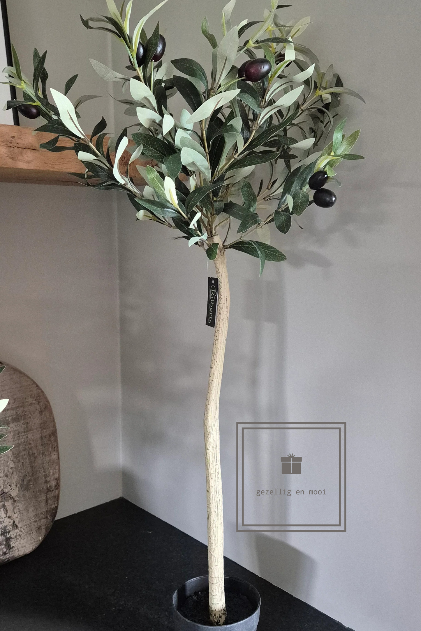 Olijfboom in pot 85 cm