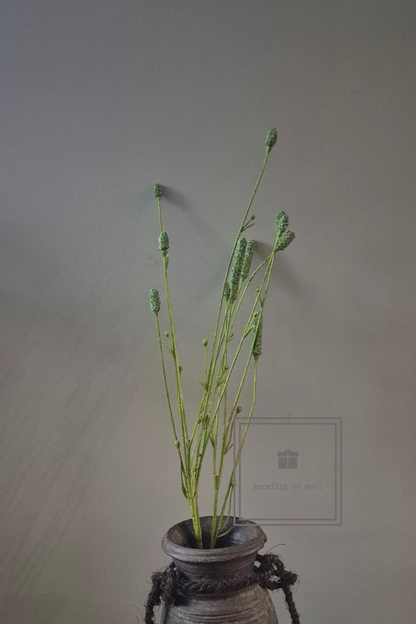 Pimpernel 84 cm groen
