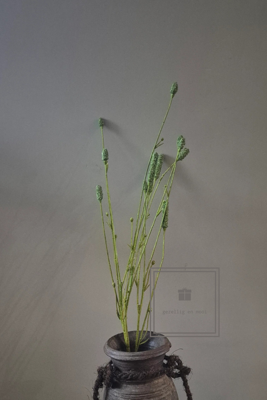 Pimpernel 84 cm groen