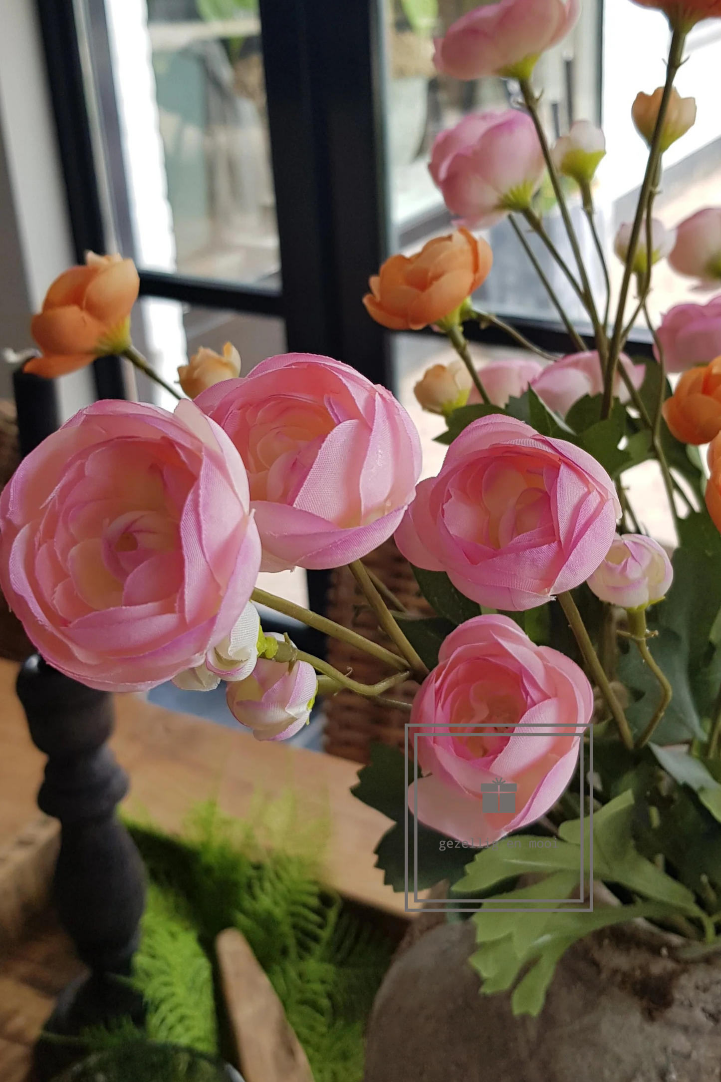 Primula tak 85 cm roze