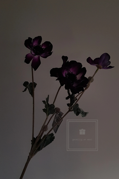Primula tak 85 cm roze