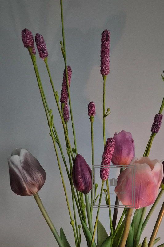 Pimpernel 84 cm rood