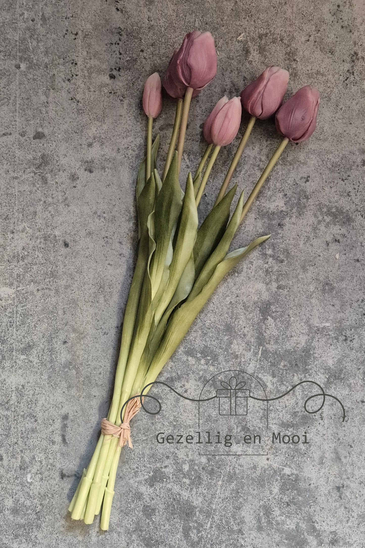 Cacta green/red - Gezellig en Mooi