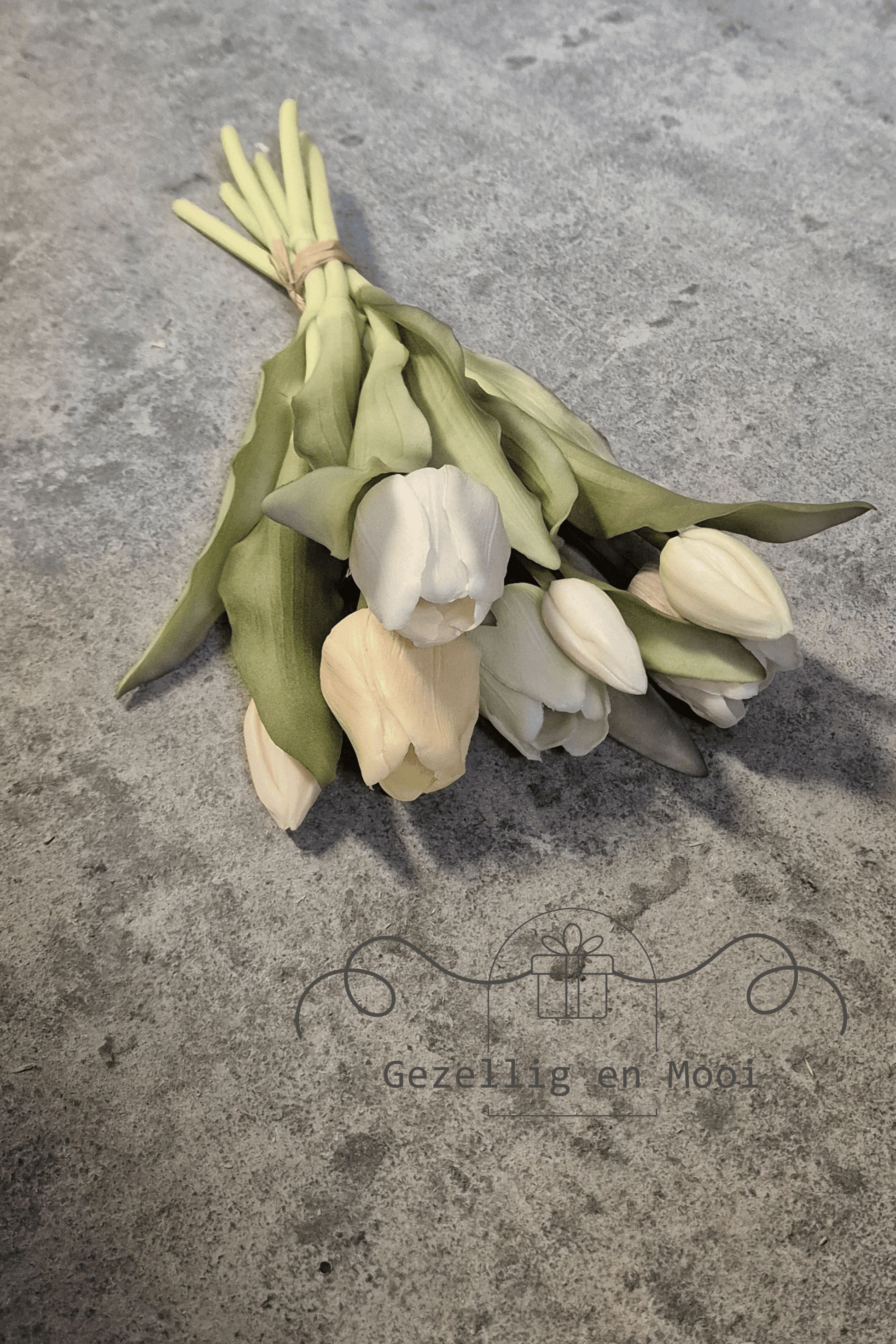 Tulp geel/groen - Gezellig en Mooi