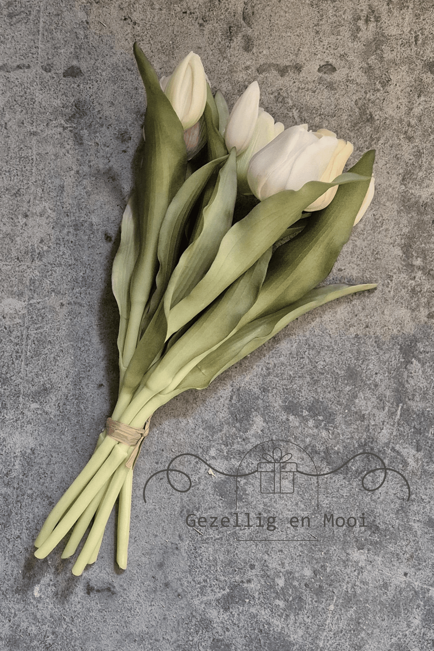 Tulp geel/groen - Gezellig en Mooi