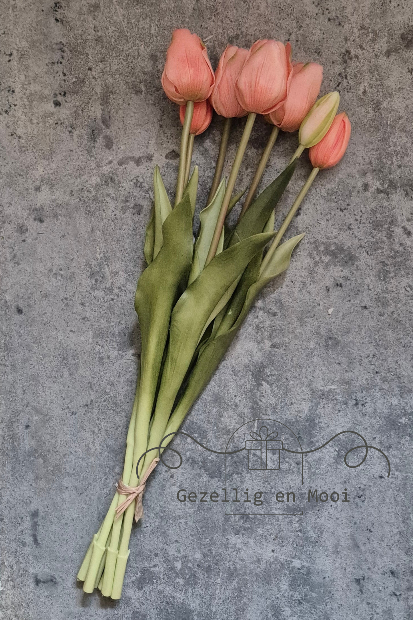 tulp soft peach