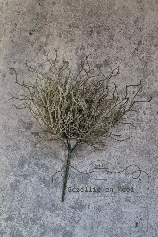 Twig bush zijdetak - Gezellig en Mooi